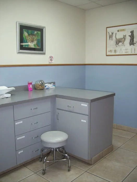 VCA Pine Lake Animal Hospital 5