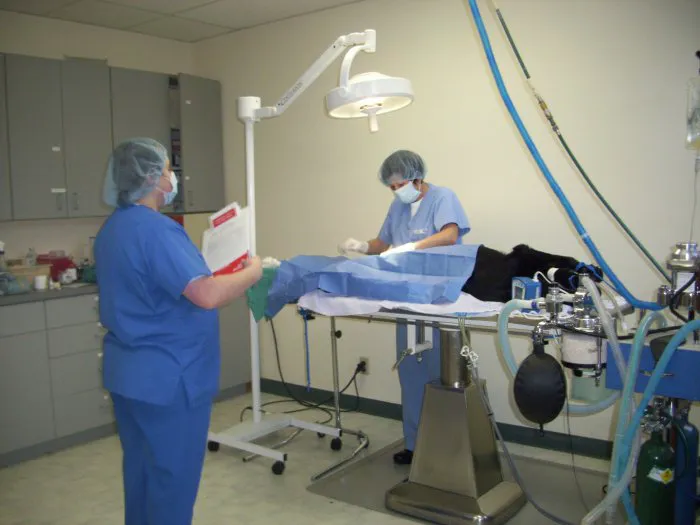 VCA Pine Lake Animal Hospital 3