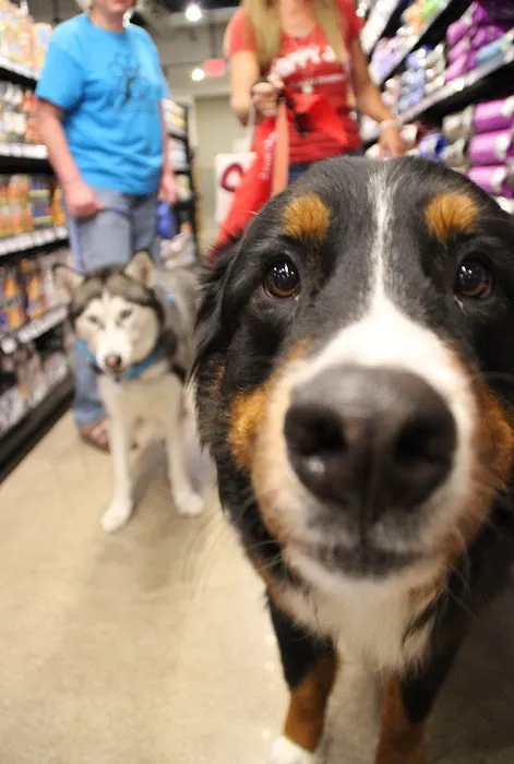 Chuck & Don's Pet Food & Supplies 12