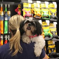 Chuck & Don's Pet Food & Supplies ico
