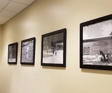 Ally Pet Medical Center