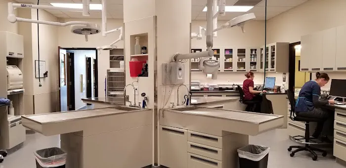 Ally Pet Medical Center 2