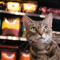 Chuck & Don's Pet Food & Supplies ico