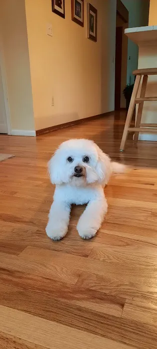 Petco 12