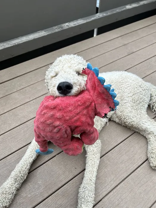 Petco 12