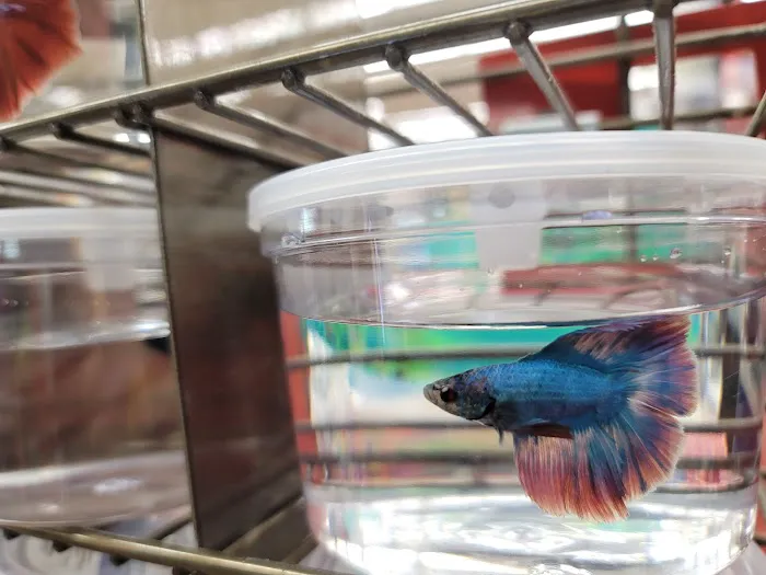 Petco 12