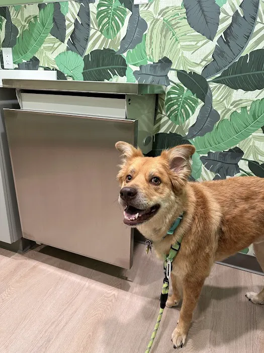 Happy Tails Animal Hospital 5