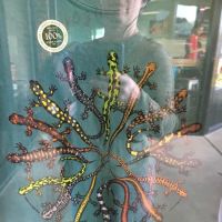 Front Range Birding & Optics ico