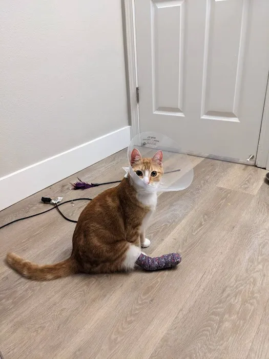 Arrow Animal Urgent Care 4
