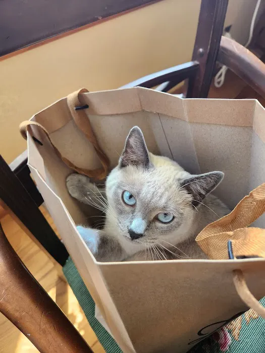 Arrow Animal Urgent Care 3