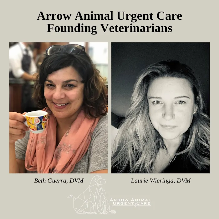 Arrow Animal Urgent Care 10