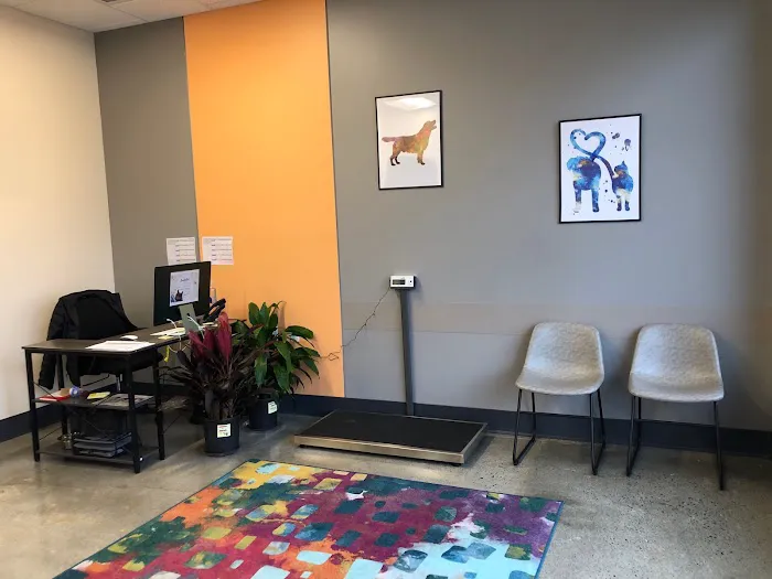 BoosterPet Veterinary Care & Urgent Care in Renton 4
