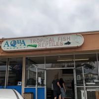 Aqua Imports ico