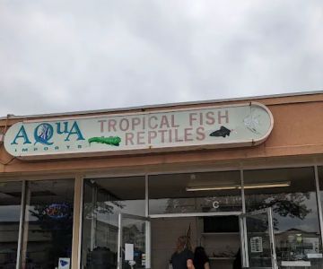 Aqua Imports