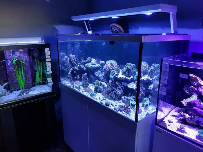 Aqua Imports 12