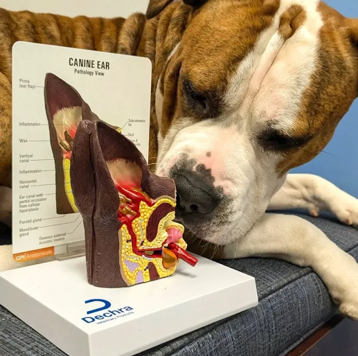 Fairwood Plaza Animal Clinic 6