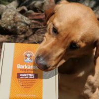Chews Happiness (True Health Enterprises, LLC) ico