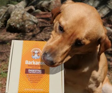 Chews Happiness (True Health Enterprises, LLC)