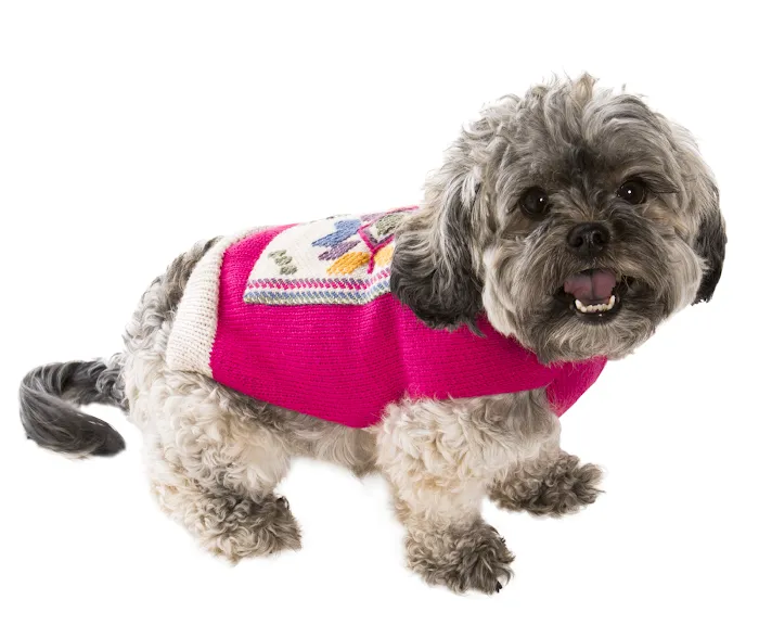 Chews Happiness (True Health Enterprises, LLC) 12