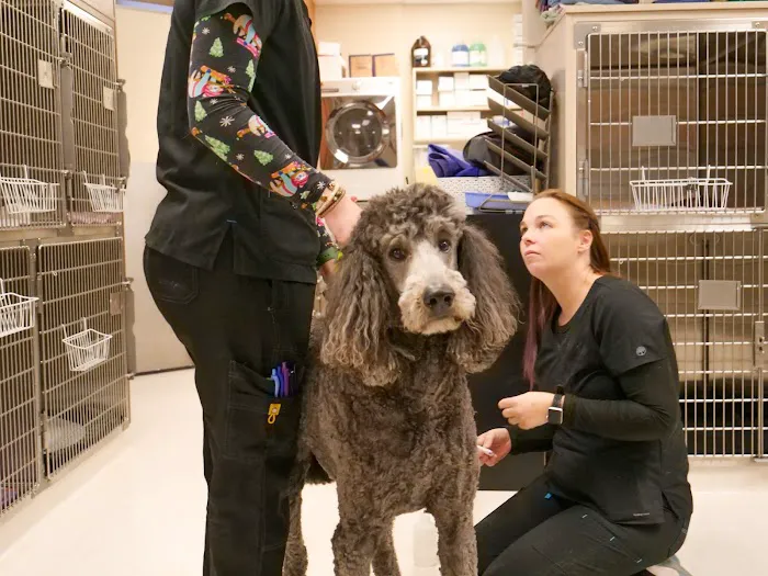 Lakefield Veterinary Group 5