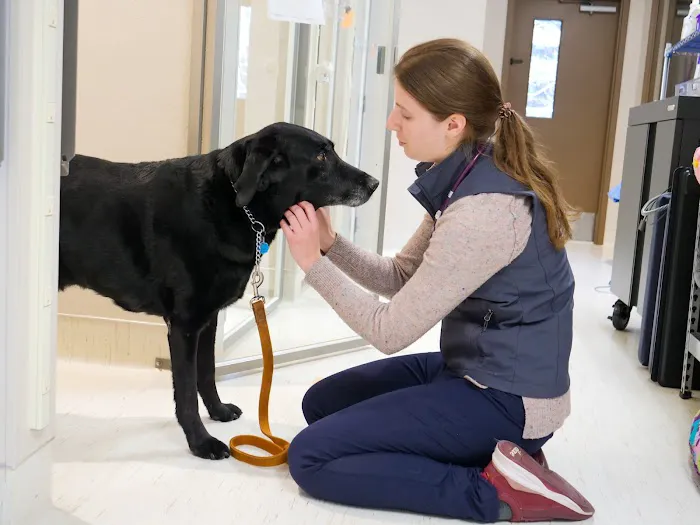 Lakefield Veterinary Group 1