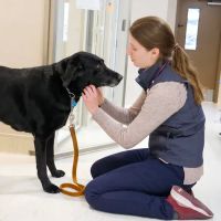 Lakefield Veterinary Group ico