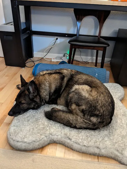 Des Moines Veterinary Hospital 9
