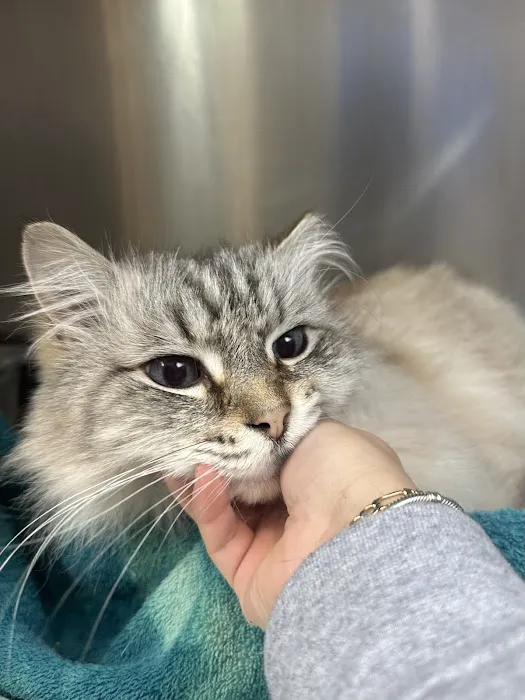 Des Moines Veterinary Hospital 1