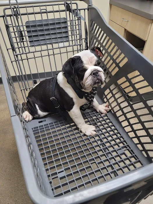 Petco 2