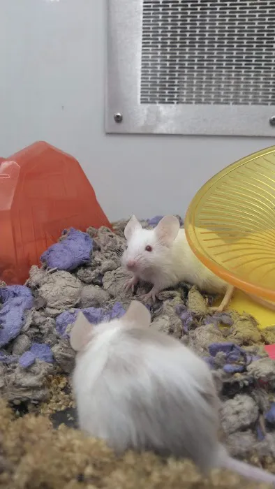 Petco 1