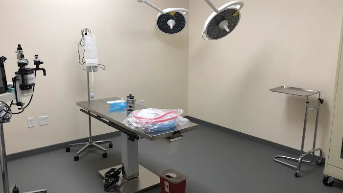Saltwater Animal Hospital 8