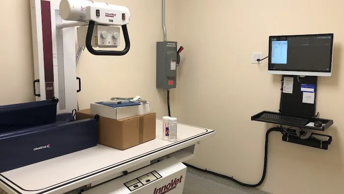 Saltwater Animal Hospital 7