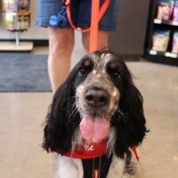 Chuck & Don's Pet Food & Supplies ico