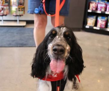 Chuck & Don's Pet Food & Supplies