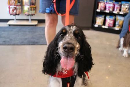 Chuck & Don's Pet Food & Supplies