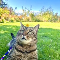Marine View Veterinary Hospital ico