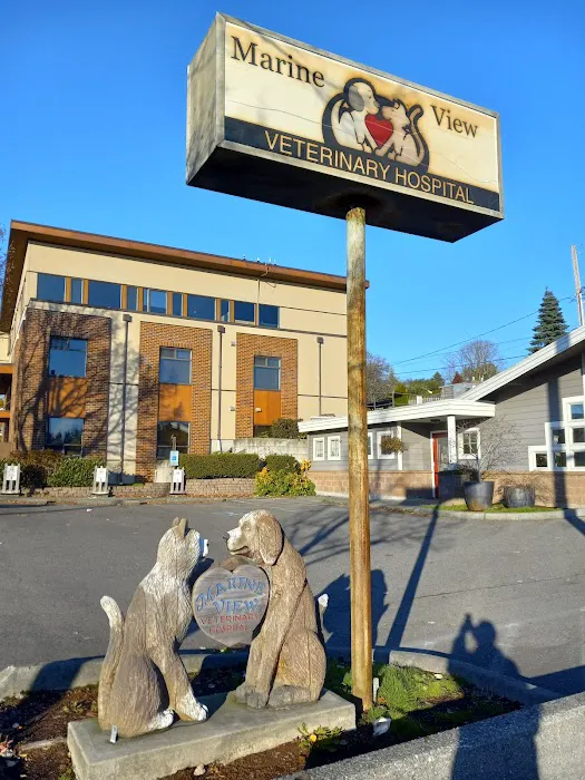 Marine View Veterinary Hospital 4