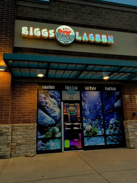 Biggslagoon 10