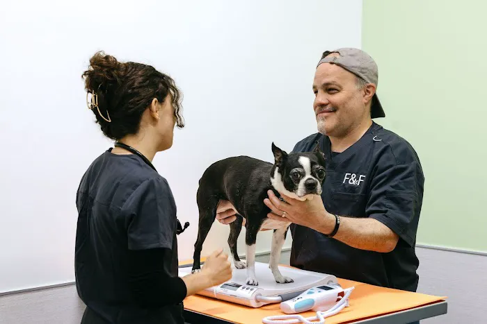 Felix&Fido Veterinary Care - Issaquah 3