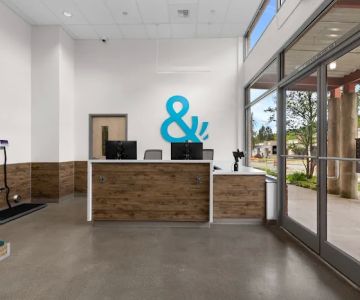 Felix&Fido Veterinary Care - Issaquah