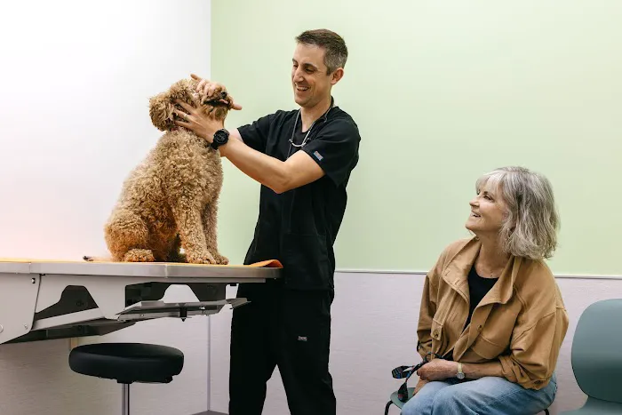 Felix&Fido Veterinary Care - Issaquah 6