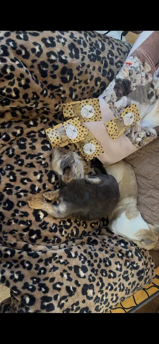 Poncho’s Pup Treats LLC 7