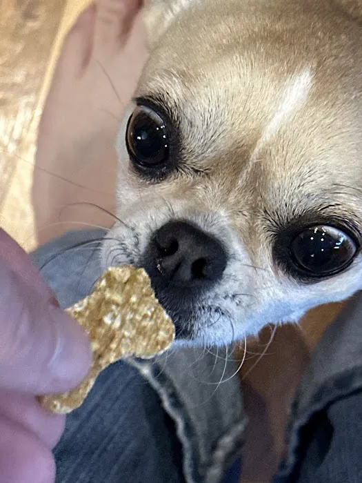 Poncho’s Pup Treats LLC 4
