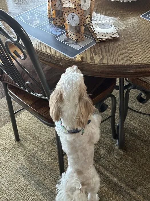 Poncho’s Pup Treats LLC 5