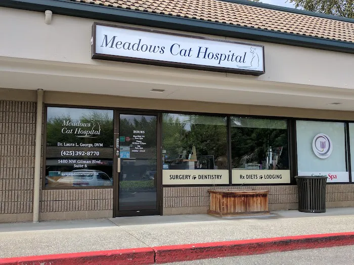 Meadows Cat Hospital 7