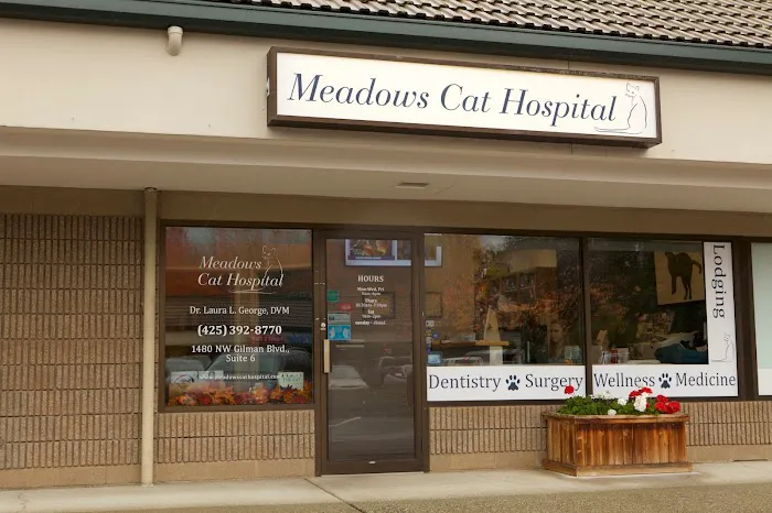 Meadows Cat Hospital 10