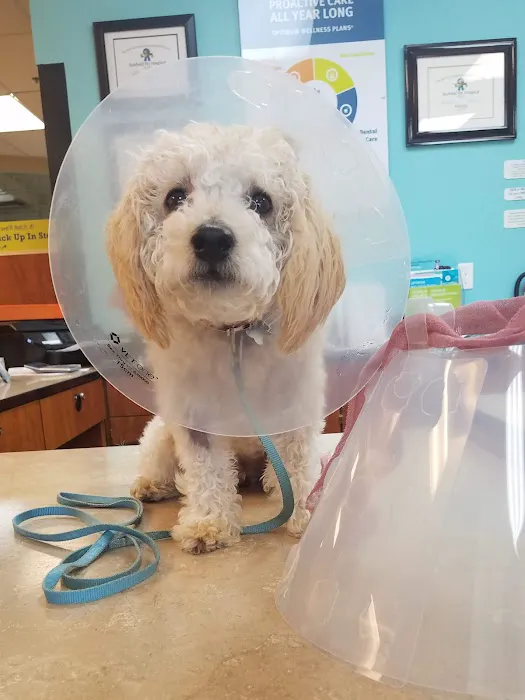 Banfield Pet Hospital 4