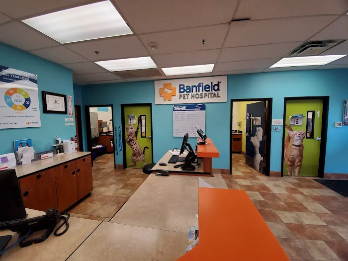 Banfield Pet Hospital 2