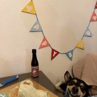 The Biscuit Barkery of N. Colorado ico