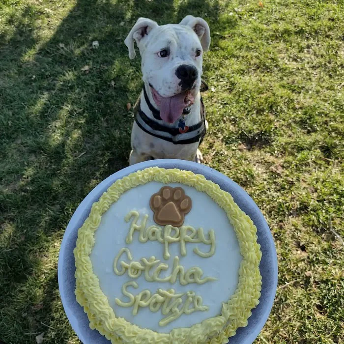 The Biscuit Barkery of N. Colorado 4